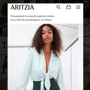 Aritzia Ace Babaton Bodysuit